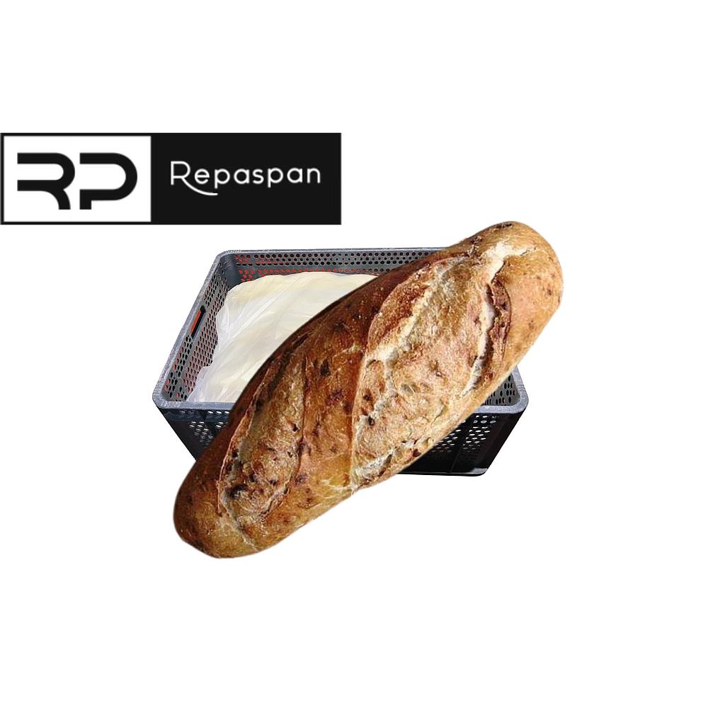 HOGACITA DE CEBOLLA