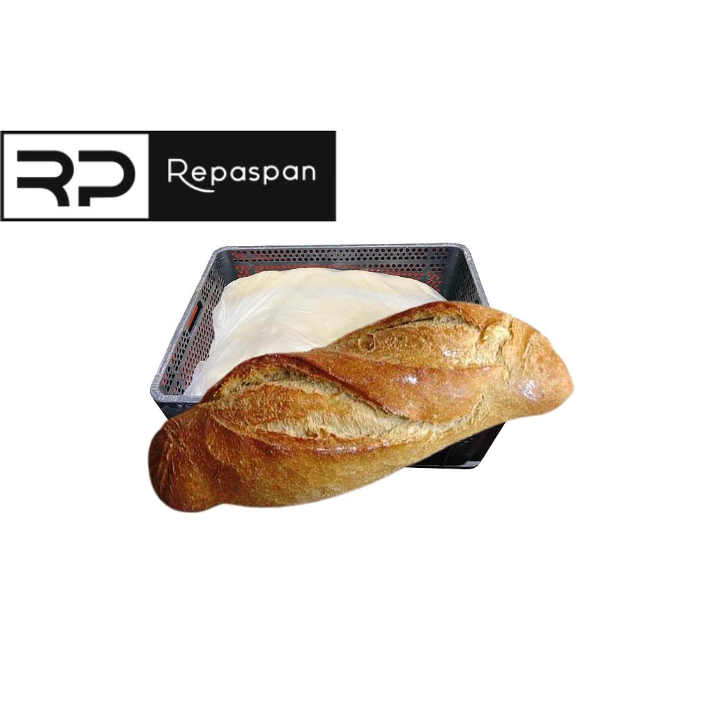 HOGACITA DE MAIZ